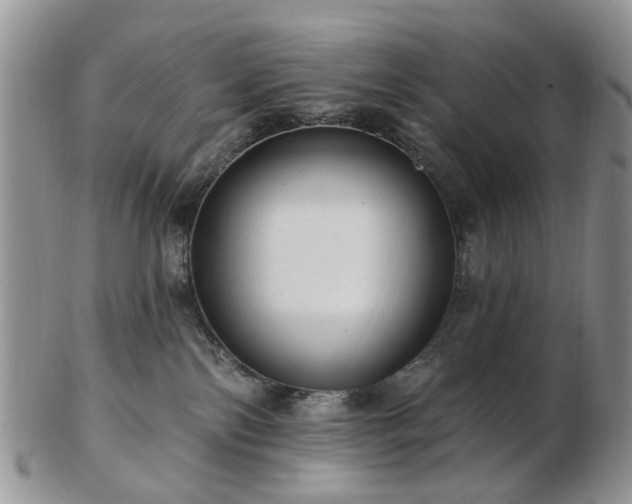 X0000102830138200808251142