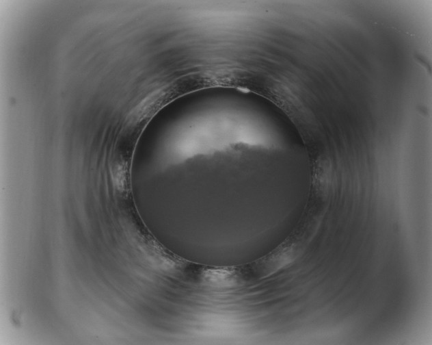 X0000102830139200808251142