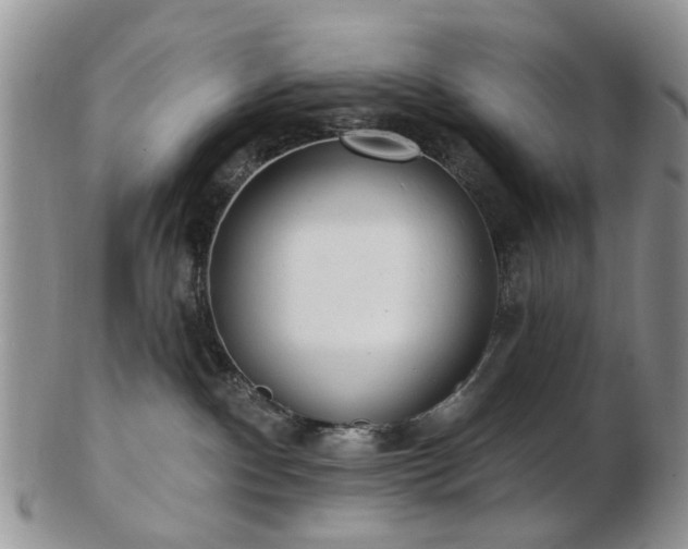 X0000102830140200808251142