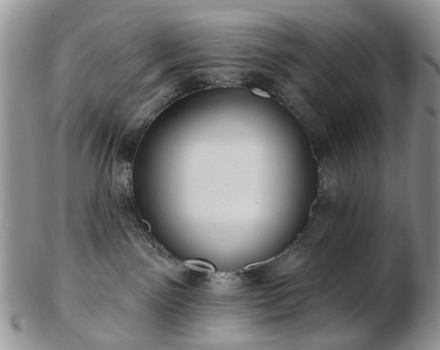 X0000102830141200808251142