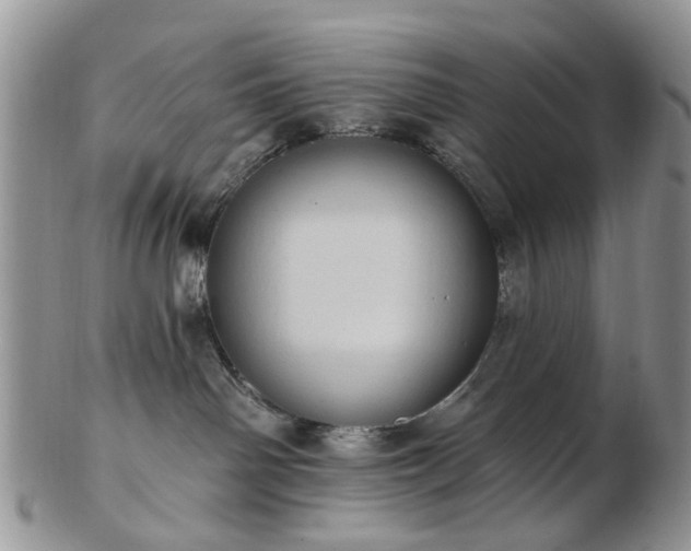 X0000102830142200808251142