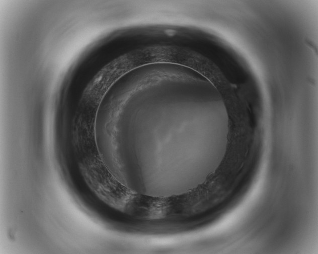 X0000102830143200808251142