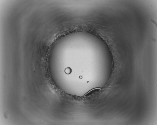 X0000102830144200808251142