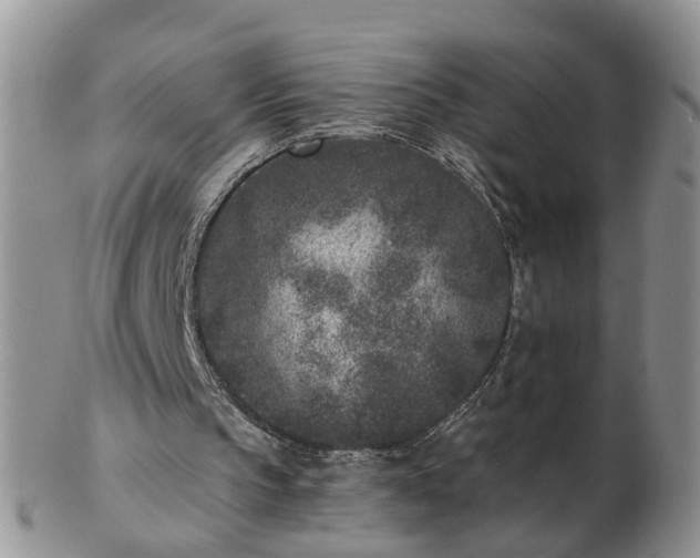 X0000102830145200808251141