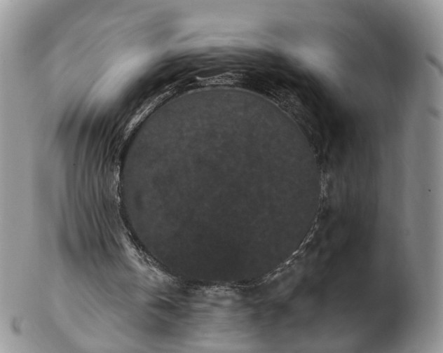 X0000102830146200808251141