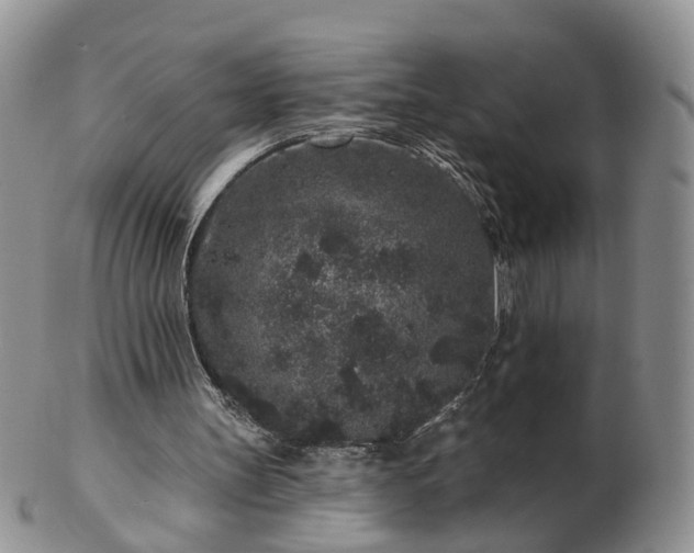 X0000102830147200808251141