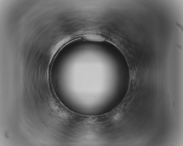 X0000102830148200808251141