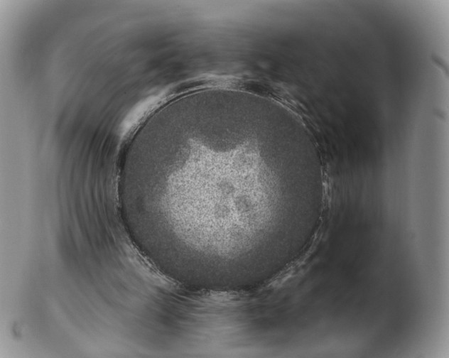 X0000102830149200808251141