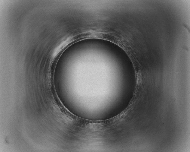 X0000102830150200808251141