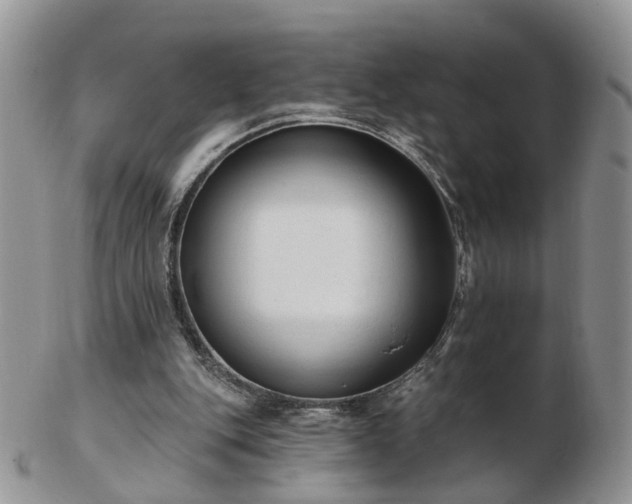 X0000102830151200808251141