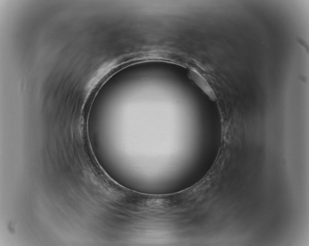 X0000102830152200808251141