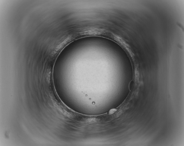 X0000102830153200808251141