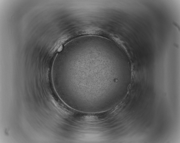 X0000102830154200808251141