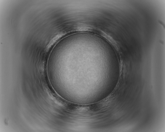 X0000102830155200808251141