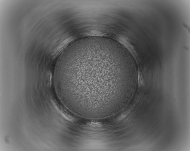 X0000102830157200808251141