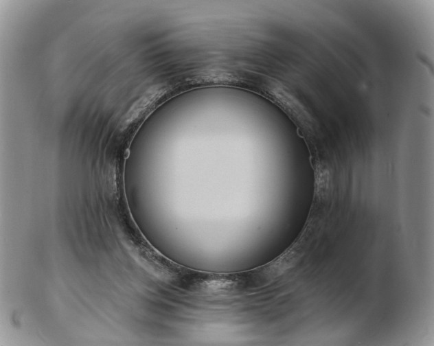 X0000102830158200808251141