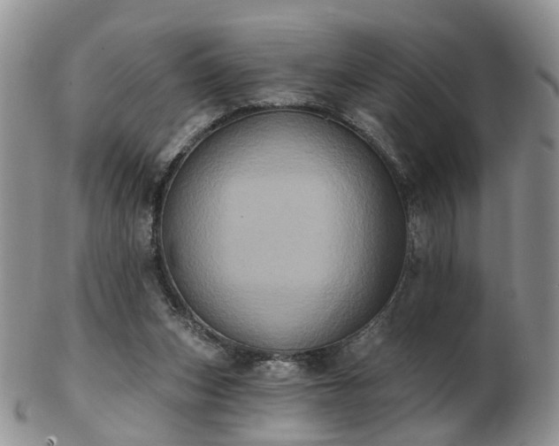 X0000102830159200808251141