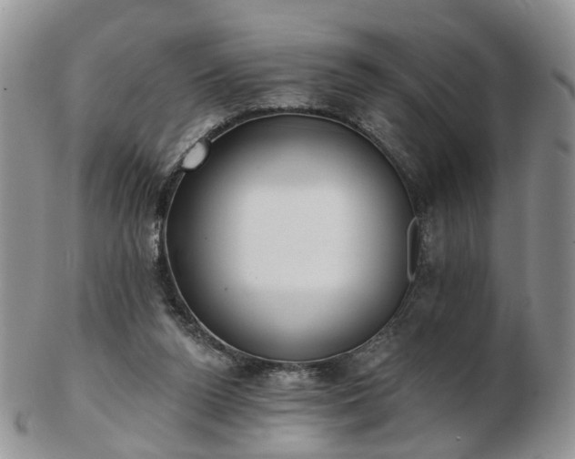 X0000102830160200808251141