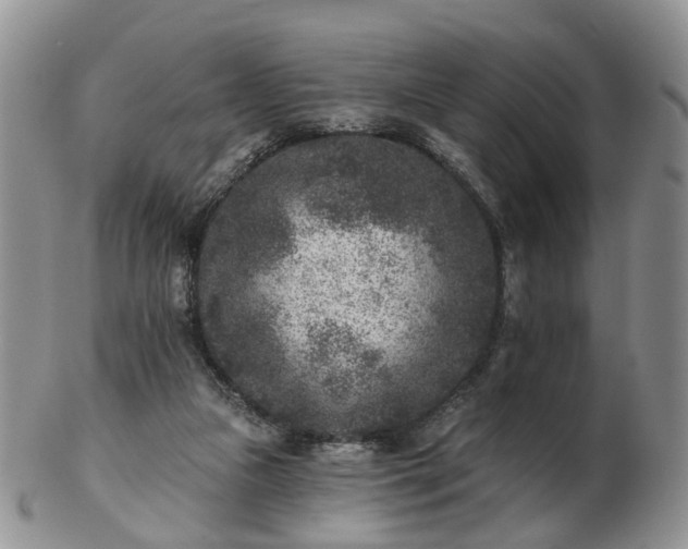 X0000102830161200808251141