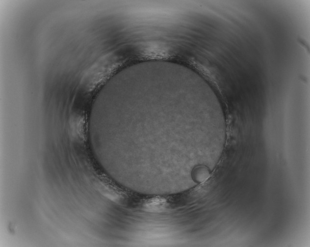 X0000102830162200808251141