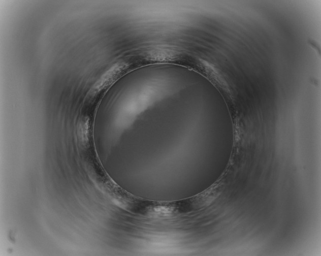 X0000102830163200808251141