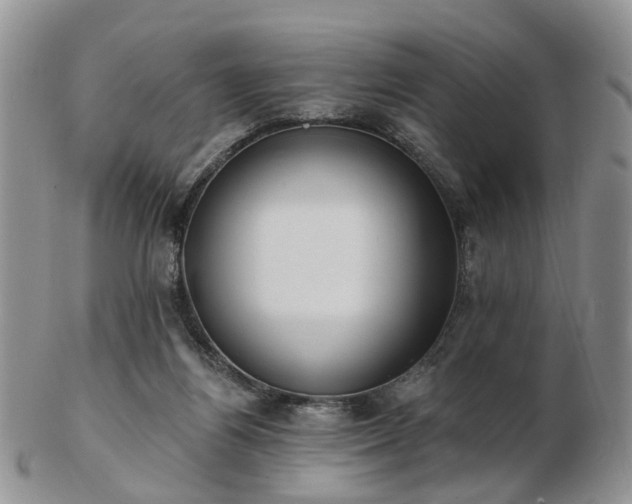 X0000102830164200808251141