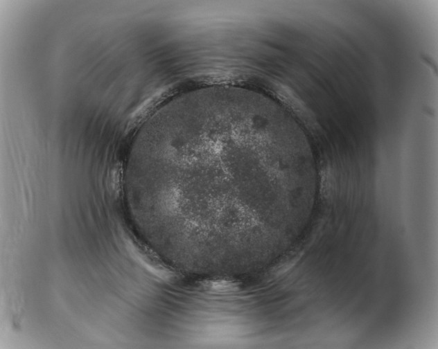 X0000102830165200808251141