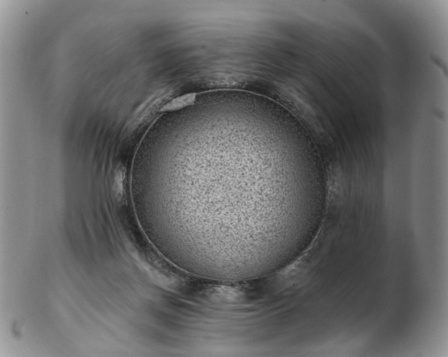 X0000102830166200808251141