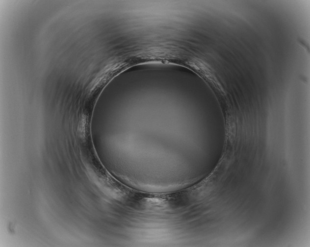 X0000102830167200808251141