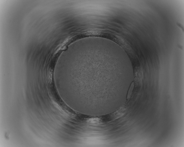 X0000102830168200808251141