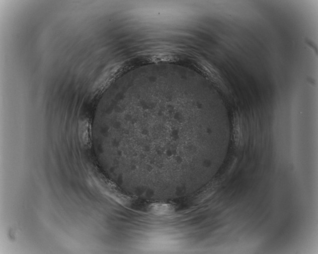 X0000102830169200808251142