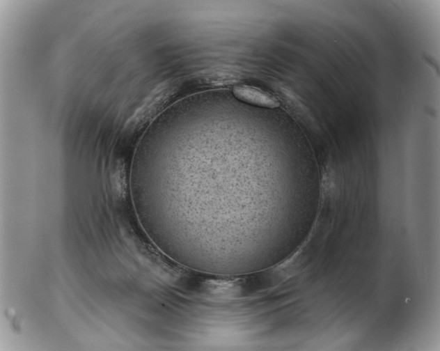 X0000102830170200808251142