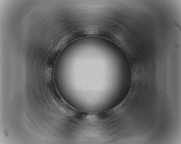 X0000102830171200808251142