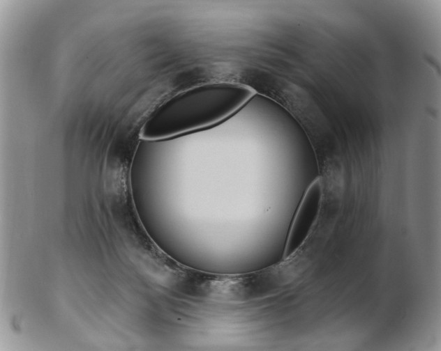 X0000102830172200808251142