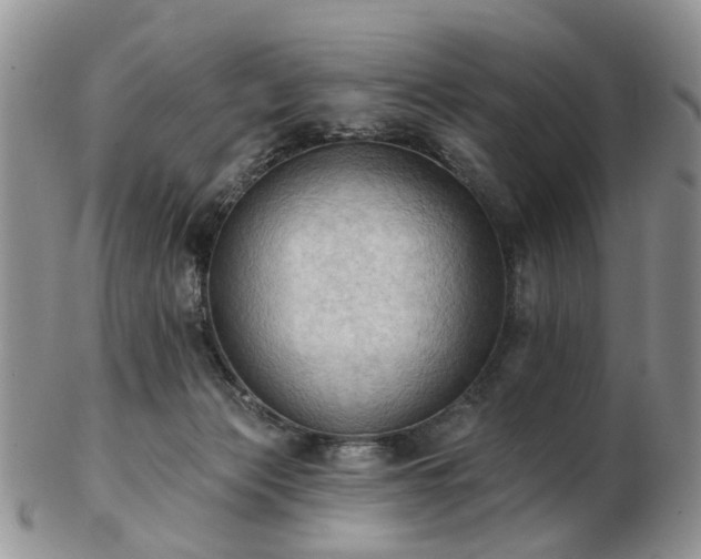 X0000102830173200808251142