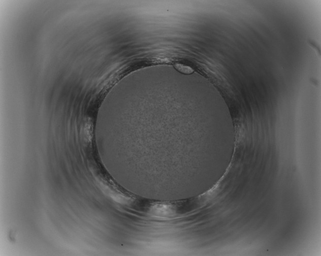 X0000102830174200808251142