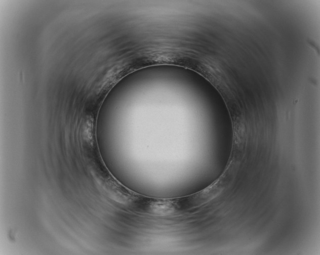 X0000102830175200808251142