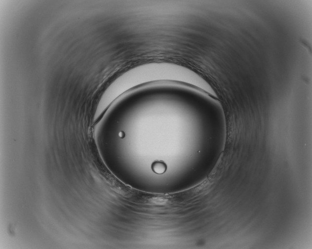 X0000102830176200808251142