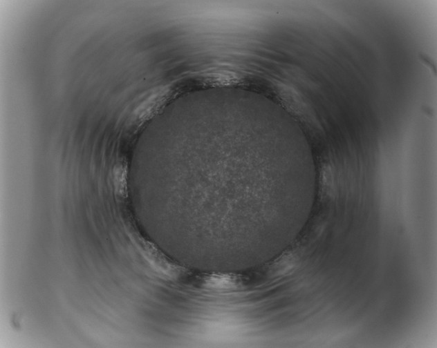 X0000102830177200808251142