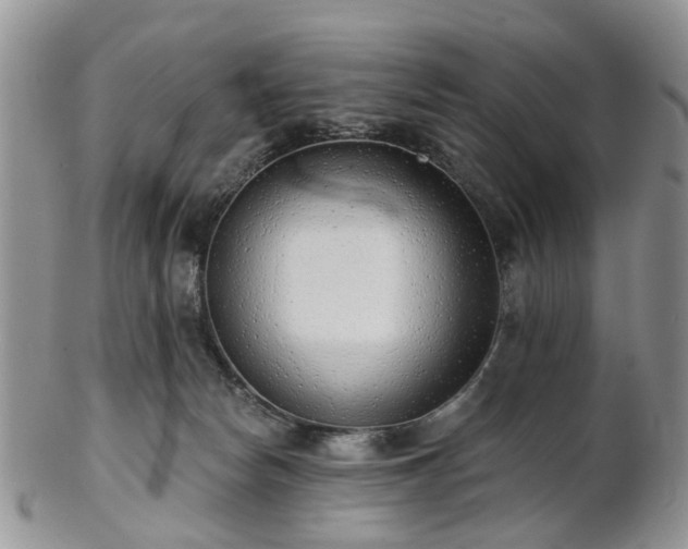 X0000102830178200808251142