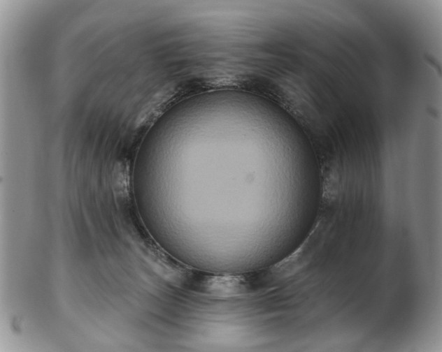 X0000102830179200808251142