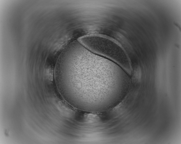 X0000102830180200808251142