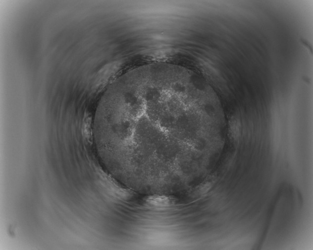 X0000102830181200808251142