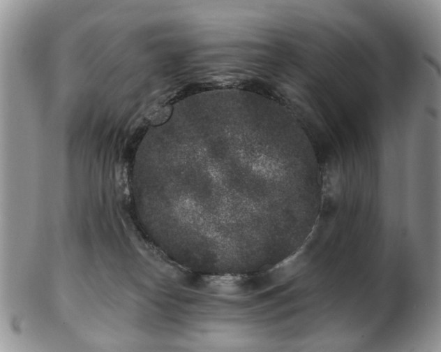 X0000102830182200808251142