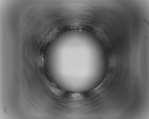 X0000102830183200808251142