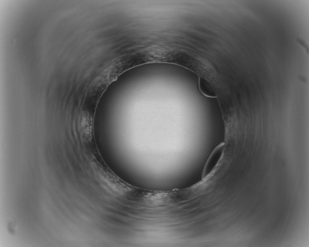 X0000102830186200808251142