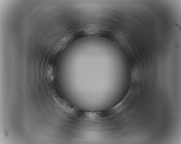 X0000102830187200808251142