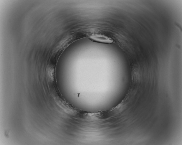 X0000102830188200808251142