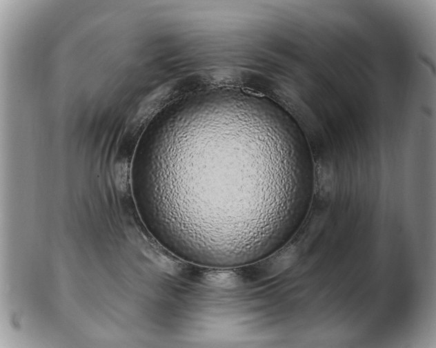 X0000102830189200808251142