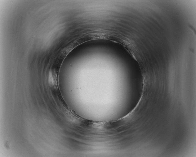 X0000102830190200808251142